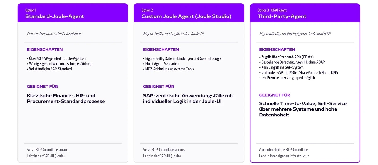 SAPKI_3Optionen